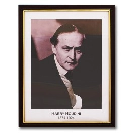 Houdini Prediction Frame