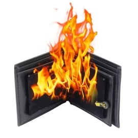 Portafoglio in Fiamme - Professional