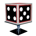 Special Disappearing Dice by Tora Magic