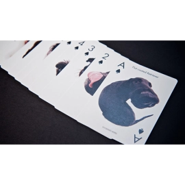Mazzo di carte Cards Dogs Playing Cards by USPCC
