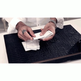 The Count by Alex Pandrea