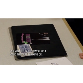 Dave Forrest's REM - DVD