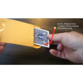 DP SWITCHING ENVELOPE by Paul Romhany