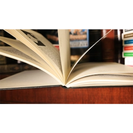 Routined Manipulations Part 2 (Limited/Out of Print) by Lewis Ganson - Libro