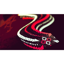 Mazzo di carte Cardistry Ninjas Playing Cards by World Card Experts