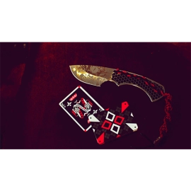 Mazzo di carte Cardistry Ninjas Playing Cards by World Card Experts