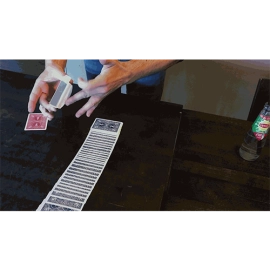 Prevision by Peter Eggink