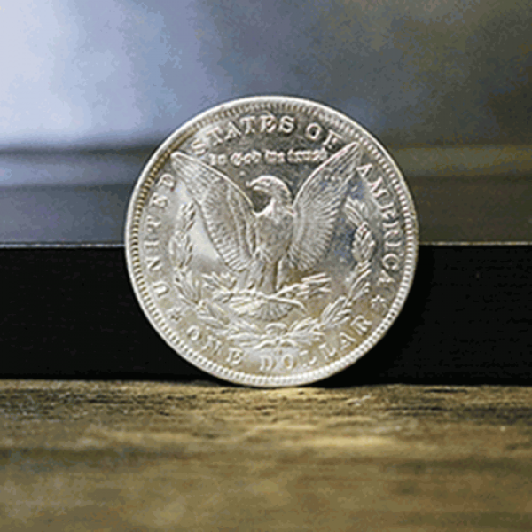 Morgan Silver Dollar Single Coin (Ungimmicked) - vero argento
