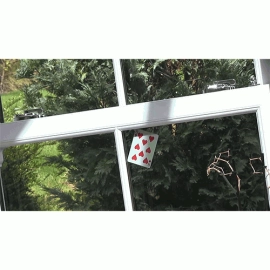 Quantum Leap Blu (Gimmicks and Online Instructions) by Gavin James