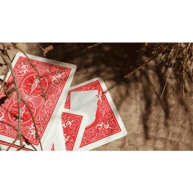 Paul Harris presents Quantum Angel by Paul Harris