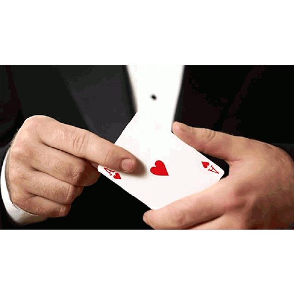 Mazzo di Carte White Tally Ho (Circle Back) Playing Cards