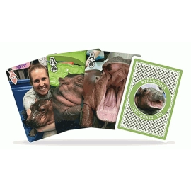 Mazzo di carte Bicycle Fiona by US Playing Cards