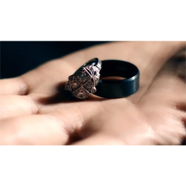 The Halo Project Size 9 (Gimmicks and Online Instructions) by Patrick Kun