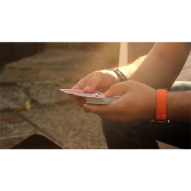 The FLY by Marcos Waldemar