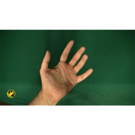 Special Edition NOW-U-C-IT, NOW-U-DON'T (DVD, Book and Gimmick) by Jeff Stewart and Meir Yedid - DVD