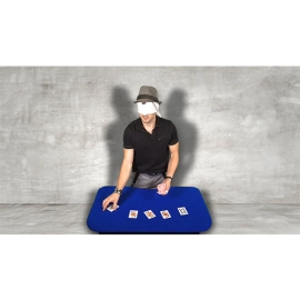 Ultimate Bliss (The Complete Guide To Blisters) by Landon Swank