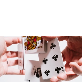 Mazzo di carte Superior Skull & Bones V2 (Red/Silver) Playing Cards by Expert Playing Card Co.