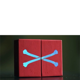 Mazzo di carte Special Edition Skull & Bones Playing Cards by Jackson Robinson and Expert Playing Card Co.