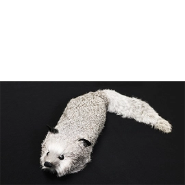 Silver Fox Spring Animal by Magic Masters