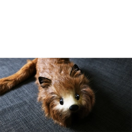 Red Fox Spring Animal by Magic Masters