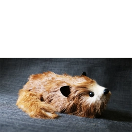 Red Fox Spring Animal by Magic Masters