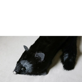 Black Fox Spring Animal by Magic Masters