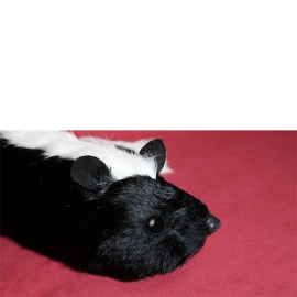 Skunk Spring Animal by Magic Masters