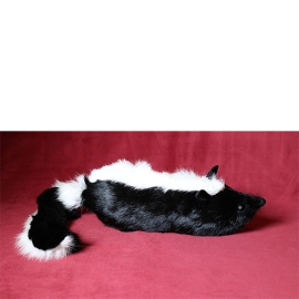 Skunk Spring Animal by Magic Masters