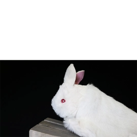 Rabbit Hand Puppet by Magic Masters