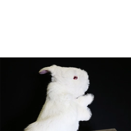 Rabbit Hand Puppet by Magic Masters