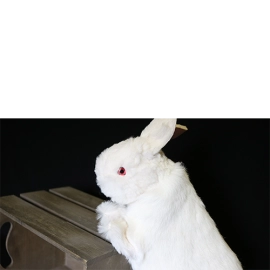 Rabbit Hand Puppet by Magic Masters