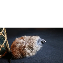 Judy Mouse Finger Puppet by Magic Masters