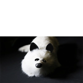 White Fox Spring Animal by Magic Masters