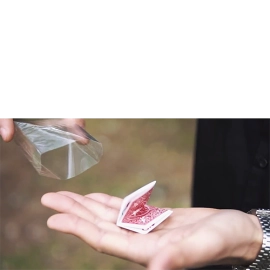 Uncatchable by Olivier Pont