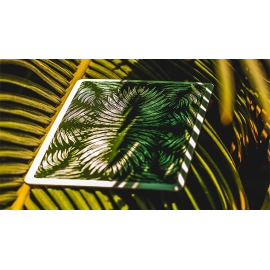 Mazzo di carte Deluxe Edition Livingstone Playing Cards by Pure Imagination Projects