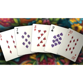Mazzo di carte Masquerade: Mardi Gras Edition Playing Cards by Denyse Klette