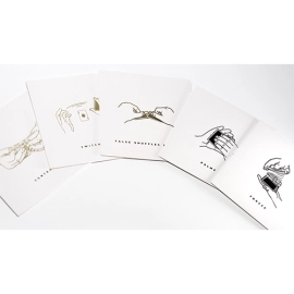 Card Magic Masterclass (5 DVD Set) by Roberto Giobbi - DVD