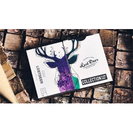 Mazzo di carte Lost Deer Forest Edition by Eriksson and Bocopo