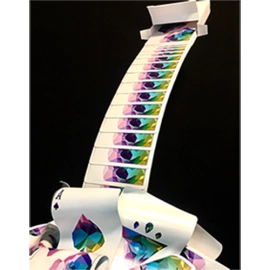 Special Edition Cascading Cards (Memento Mori) by Keith O'Brien