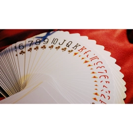 Mazzo di carte Bicycle Limited Edition Bald Eagle Playing Cards (With Numbered Seals)