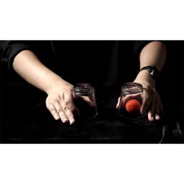 Unique Sponges by Stephen Chan and TCC