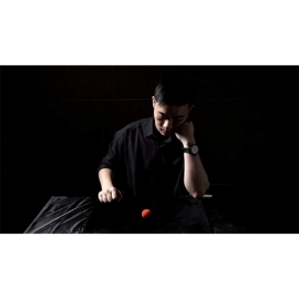 Unique Sponges by Stephen Chan and TCC