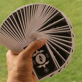 Mazzo di carte Limited Edition Wings V2 Marked Playing Cards (Black/Bridge Size)