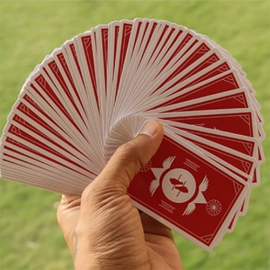 Mazzo di carte Limited Edition Wings V2 Marked Playing Cards (Red/Bridge Size)