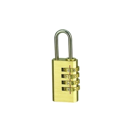 Locked for Life (Gimmick and Online Instructions)