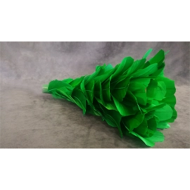 Blooming Bouquet (5 Blooms) by Tora Magic