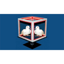 Special Disappearing Dice by Tora Magic