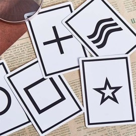 Mazzo di carte Bicycle Chic Gaff (Blue) Playing Cards by Bocopo