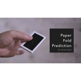 Paper Fold Prediction by Sean Yang