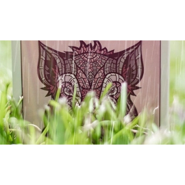 Mazzo di carte Wild Reserve: Pink Boar Playing Cards by Bill Davis Magic